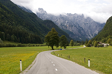 Country road through a valley, Logarska, Slovenia, Europe