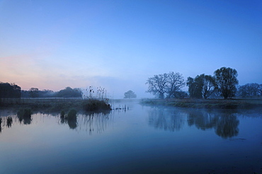 View onto a lake in the Mittlere Elbe biosphere reserve on the Elbe river at dawn, Saxony-Anhalt, Germany, Europe