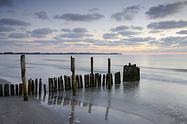 Groyne at sunrise on the beach of Juliusruh, Ruegen, Mecklenburg-Western Pomerania, Germany, Europe