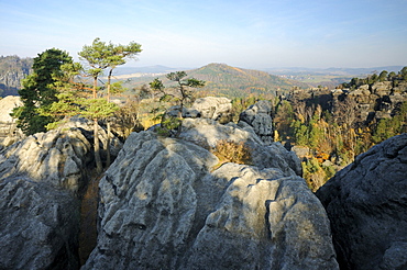 Rock formations in the Saechsische Schweiz, Saxon Switzerland, Elbe Sandstone Mountains, Saxony, Germany, Europe