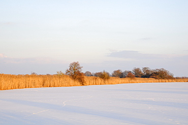 Frozen oxbow lake of the Elbe river near Klieken, Saxony-Anhalt, Germany, Europe