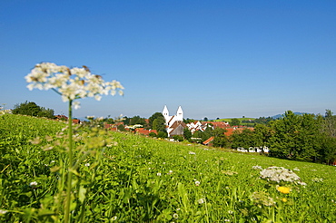 Steingaden, Allgaeu, Bavaria, Germany, Europe