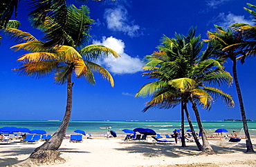 Beach in San Juan, Puerto Rico, Caribbean