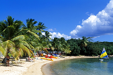 Bolongo Beach, St. Thomas island, U.S. Virgin Islands, Caribbean