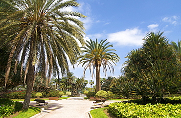 San Telmo Park, Las Palmas, Gran Canaria, Canary Islands, Spain, Europe