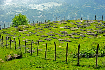 Jewish cemetery, Leilaschi, Georgia, Western Asia