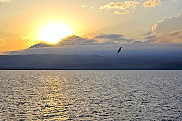 Evening sun over Lake Paravani, Way of St. Nino, Kvemo Kartli region, Georgia, Western Asia