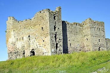 Ruins of the Castle of the Order of the Teutonic Knights, Toolse, Estonia, Baltic States, Northern Europe