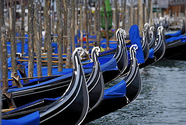 Gondolas on a pier, Bacino di San Marco, Venezia, Venice, Italy, Europe