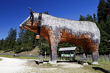 Wood Ox, Teichalm mountain pasture, Almenland area, Styria, Austria, Europe