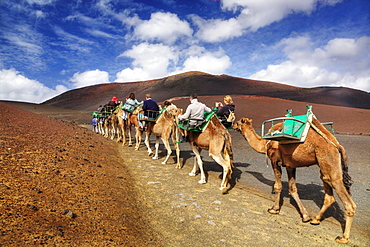 Tourists riding dromedaries in the Timanfaya National Park, Lanzarote, Canary Islands, Spain, Europe