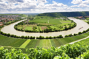 Mundelsheim Necker river loop, Baden-Wuerttemberg, Germany, Europe