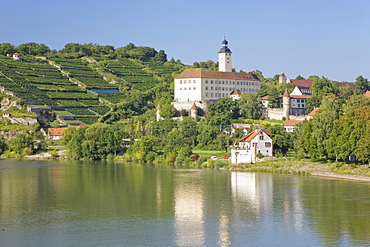 Schloss Horneck Castle above Gundelsheim am Neckar, Neckar River, Baden-Wuerttemberg, Germany, Europe