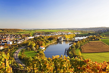 View from the vineyards across Gundelsheim am Neckar, Neckar River, Baden-Wuerttemberg, Germany, Europe