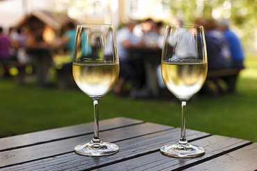 Two glasses of white wine, Noiblinger seasonal wine tavern, Weissenkirchen in the Wachau valley, Waldviertel region, Lower Austria, Austria, Europe