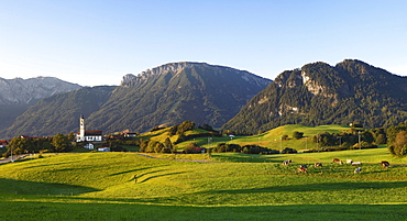 Pfronten, Breitenberg mountain at the back, Tannheimer Berge mountain range, Ostallgaeu district, Allgaeu region, Swabia region, Bavaria, Germany, Europe