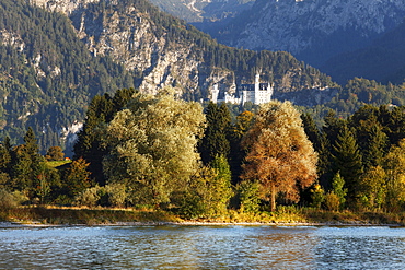 Neuschwanstein Castle overlooking Forggensee lake, Ammer Mountains, near Fussen, Ostallgaeu, Allgaeu, Swabia, Bavaria, Germany, Europe