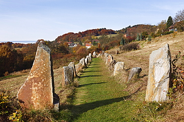 Stone avenue, Celtic megalith replicas, Geyersberg, Bergen municipality in the Dunkelsteinerwald area, Wachau, Mostviertel region, Lower Austria, Austria, Europe