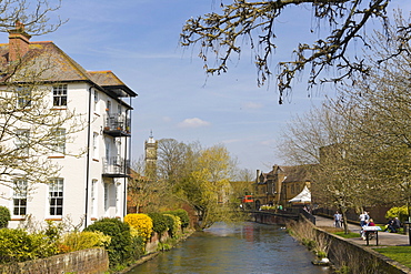 River Avon between High Street and Crane Bridge Street, Salisbury, Wiltshire, England, United Kingdom, Europe