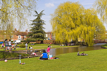 Queen Elizabeth Gardens, Salisbury, Wiltshire, England, United Kingdom, Europe