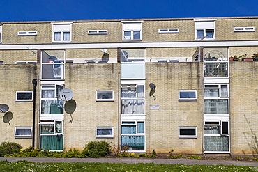 Council flat housing, Golden Grove, Southampton, Hampshire, England, United Kingdom, Europe