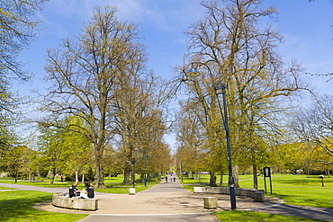 Houndwell Park, Southampton, Hampshire, England, United Kingdom, Europe