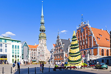 500th jubilee Christmas Tree, St Peter's Church, Peterbaznica, House of the Blackheads, Melngalvju nams, Roland's statue, Town Hall Square, Ratslaukums, old town, Vecriga, Riga, Latvia, Northern Europe