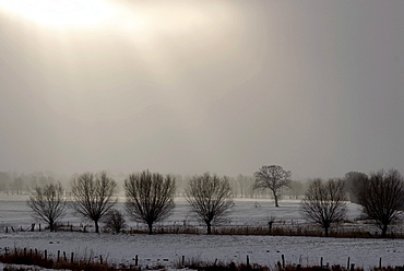 Winter landscape in the Probstei district, Schleswig-Holstein, Germany, Europe