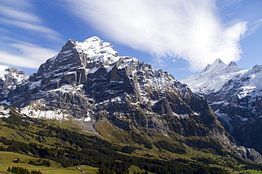 Wetterhorn mountain, Grindelwald, Bernese Oberland region, canton of Bern, Switzerland, Europe