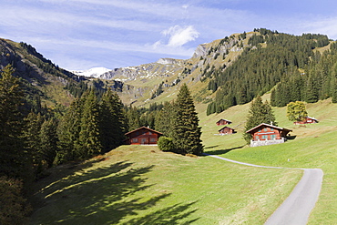 Alpine cabins on the ridge above Grindelwald, Bernese Oberland, Canton of Bern, Switzerland, Europe