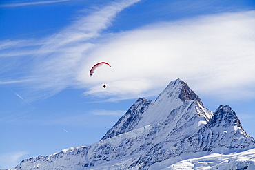 Schreckhorn mountain and a paraglider, Grindelwald, Bernese Oberland region, canton of Bern, Switzerland, Europe