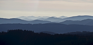 Evening view towards Todnau, Mt. Feldberg, Black Forest, Landkreis Hochschwarzwald county, Baden-Wuerttemberg, Germany, Europe