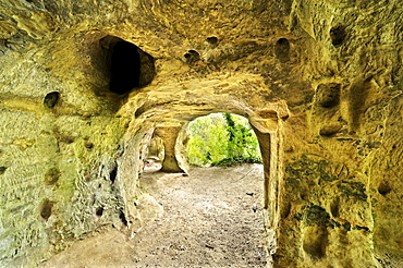 Sandstone cave above the pilgrimage shrine of Our Lady of the Rock in Aachtobel Nature Reserve, Lake Constance District, Baden-Wuerttemberg, Germany, Europe