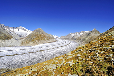 The 23, 1 km long Aletsch Glacier, Canton of Valais, Switzerland, Europe