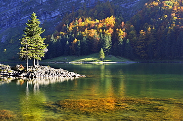 Autumnal light mood on the shore of Seealp Lake, at 1143 m altitude, Canton of Appenzell Inner-Rhodes, Switzerland, Europe