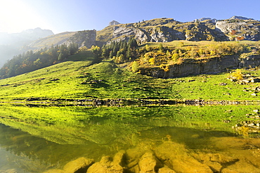 Autumnal light mood on the shore of Seealp Lake, at 1143 m altitude, Canton of Appenzell Inner-Rhodes, Switzerland, Europe