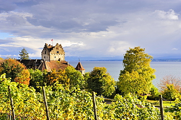 View over the autumn coloured vineyards towards the historic Meersburg Castle and Lake Constance, Lake Constance district, Baden-Wuerttemberg, Germany, Europe