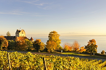 View over the autumn coloured vineyards towards the historic Meersburg Castle and Lake Constance, Lake Constance district, Baden-Wuerttemberg, Germany, Europe