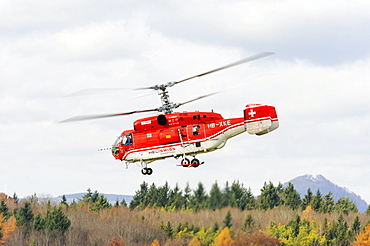 Russian Kamov KA 32 A12 heavy-lift helicopter from the Swiss company Heliswiss during a transport operation, Germany, Europe