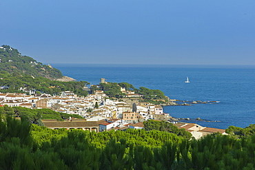 Holiday resort town of Calella de Palafrugell in winter, Calella de Palafrugell, Costa Brava, Spain, Europe