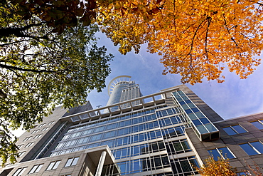 Westendstrasse 1 or Westendtower, Westend Tower, headquarters of the DZ Bank, Frankfurt, Hesse Germany, Europe
