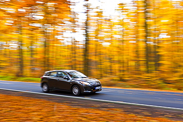 Car driving on a country road in autumn, Hesse, Germany, Europe