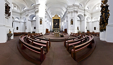 Collegiate Haug, Church of St. John, Wuerzburg, Bavaria, Germany, Europe