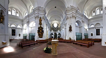 Haug collegiate church, church of St. John, Wuerzburg, Bavaria, Germany, Europe