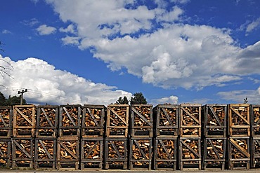 Stacked boxes of firewood for sale at a timber yard, Ziegelhuette 7, Lauf an der Pegnitz, Middle Franconia, Bavaria, Germany, Europe