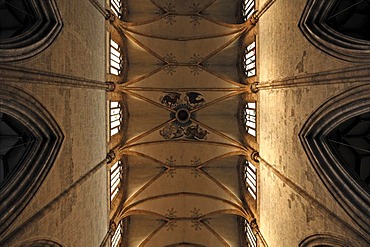 Gothic ceiling vault of Ulm Minster, partial view, Muensterplatz square, Ulm, Baden-Wuerttemberg, Germany, Europe