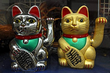 Two Chinese lucky cats in a China shop