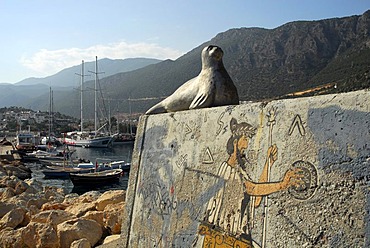 Seal, sculpture, wall painting in the port of Kas, Lycian coast, Antalya Province, Mediterranean, Turkey, Eurasia