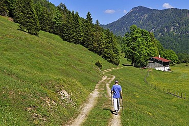 Hiker, dsv-activ Trail, Reit im Winkl, Bavaria, Germany, Europe