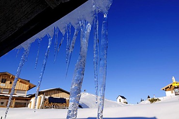 Icicles on the Eggenalm alp, Tyrol, Tirol, Austria, Europe